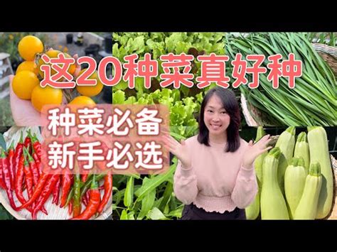 在家種植|【在家種植】蔬菜怎樣種？7種適合自己種的蔬菜選。